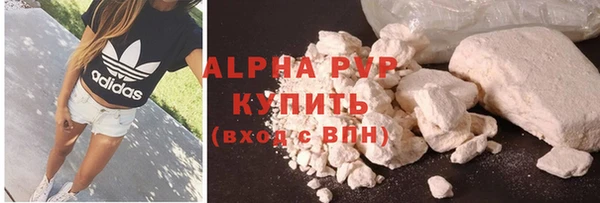 мяу мяу мука Иннополис
