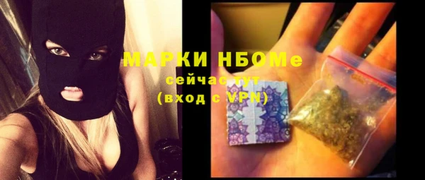 дмт Инсар