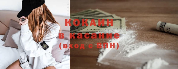 дмт Инсар