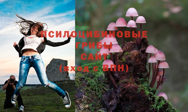 каннабис Инта
