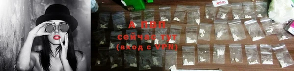 каннабис Инта