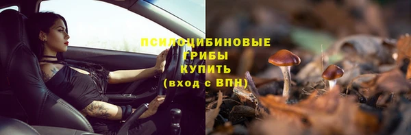 мяу мяу мука Иннополис
