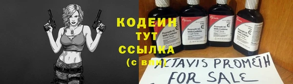 дмт Инсар