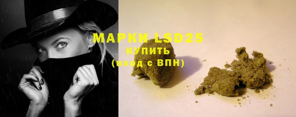 дмт Инсар