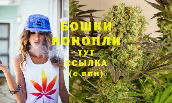 мяу мяу мука Иннополис