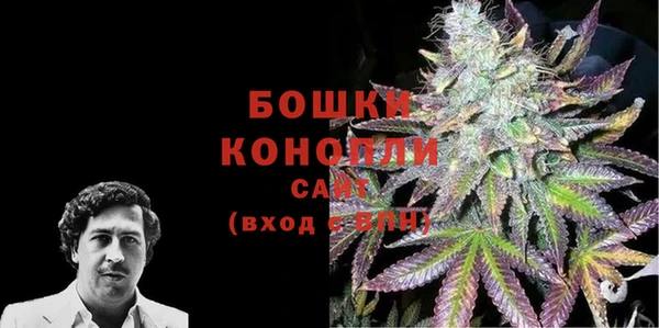 мяу мяу мука Иннополис