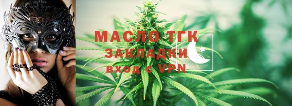 дмт Инсар