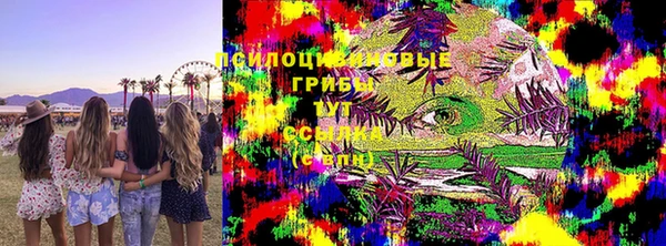 каннабис Инта