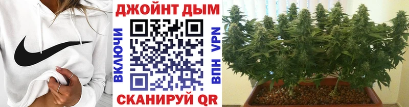 Купить закладки  Щигры  Каннабис ГИДРОПОН 